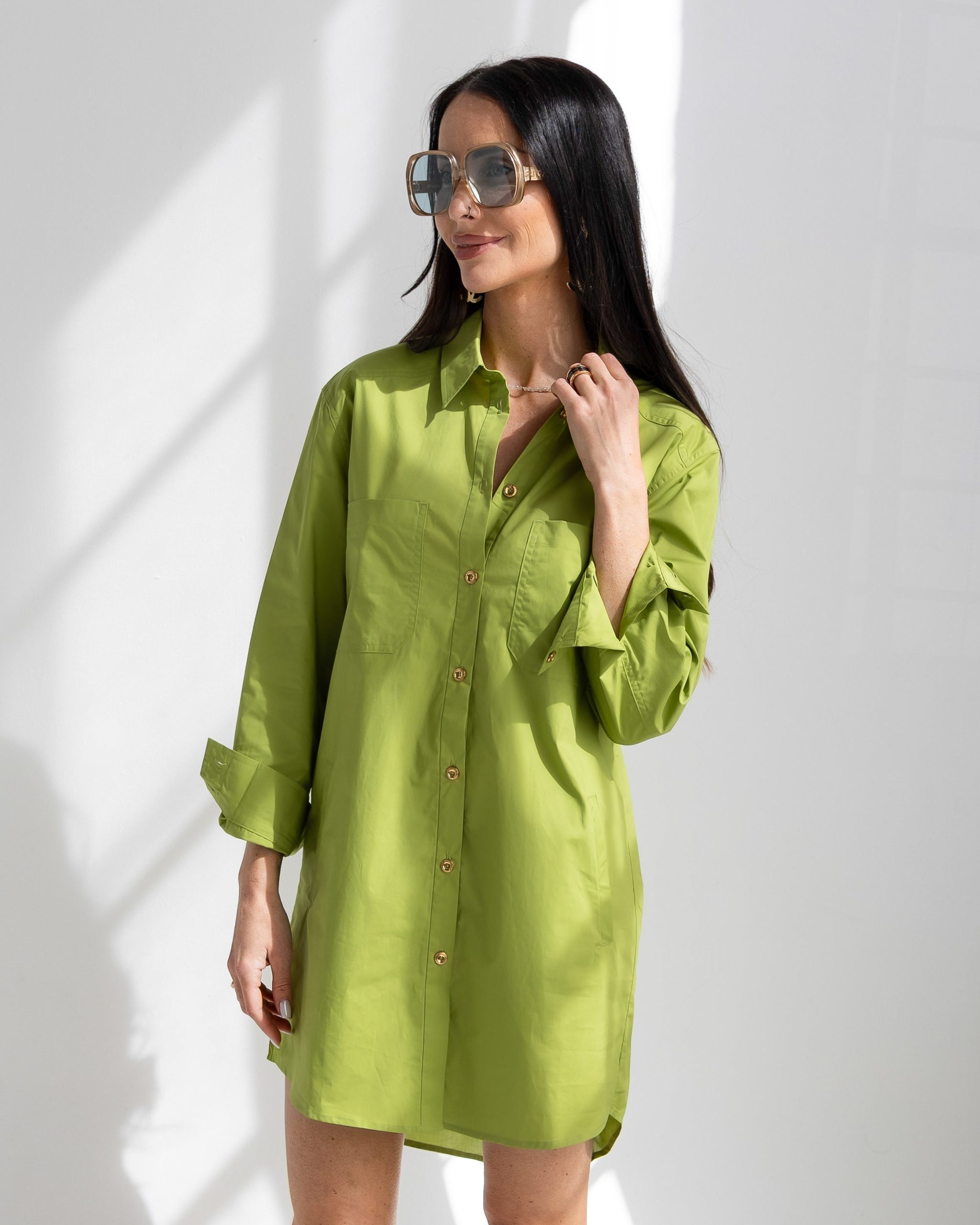 1407-IMG_6754.jpg Basic Preslie Poplin Shirt Dress Cactus