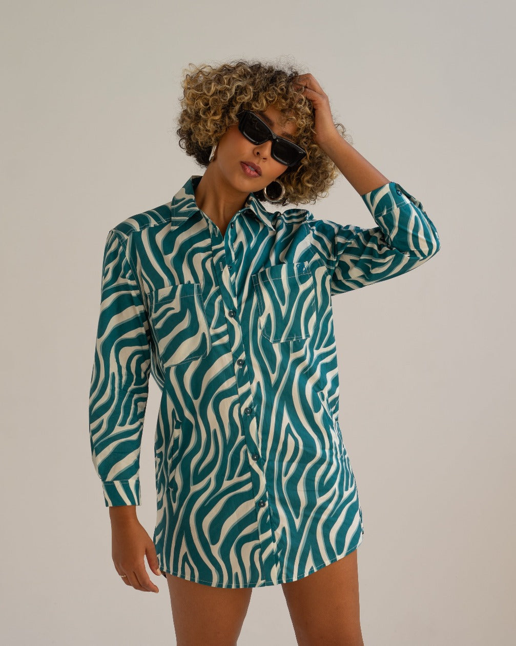 DSC03014.jpg Preslie Poplin Shirt Dress Shaded Zebra