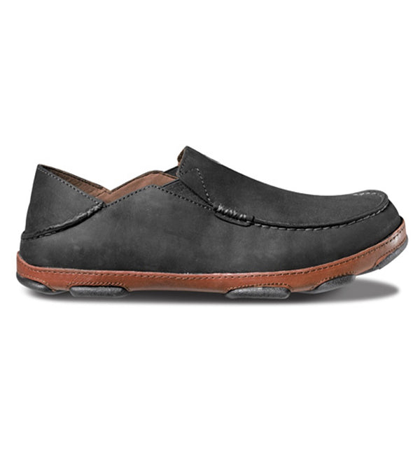 moloa-blk_89218001-5495-4e79-956f-75d2f935c326_600x.jpg Moloa